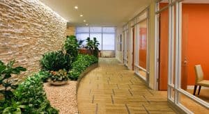 green leafy plants lining left stone wall with big window at the end of hallway, orange-walled glassed-in rooms on the right side, tan flooring
